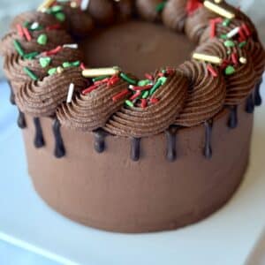 Gluten Free Chocolate Peppermint Fudge Cake